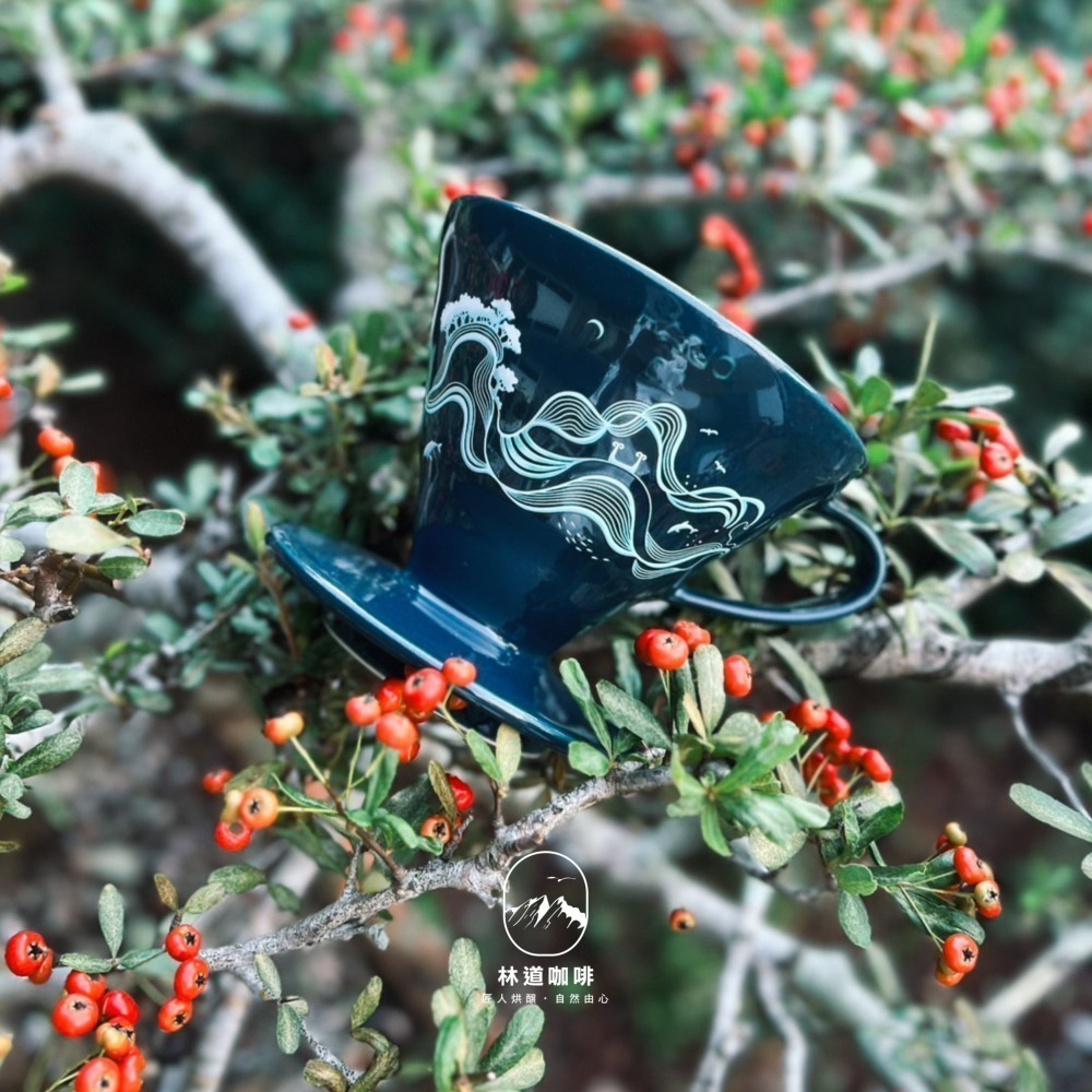 HARIOＸ太平洋左岸台東咖啡 2025年、2024年 台東限定聯名V60濾杯-細節圖3