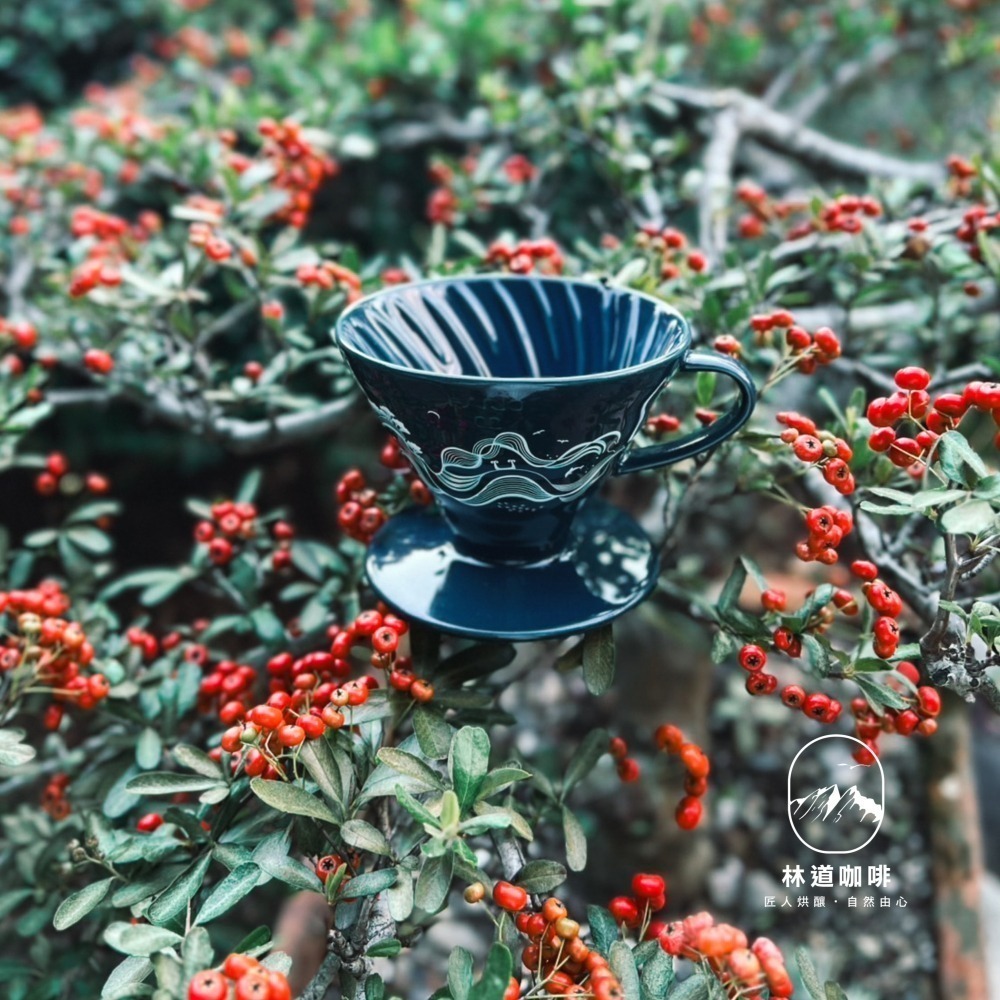 HARIOＸ太平洋左岸台東咖啡 2025年、2024年 台東限定聯名V60濾杯-細節圖4