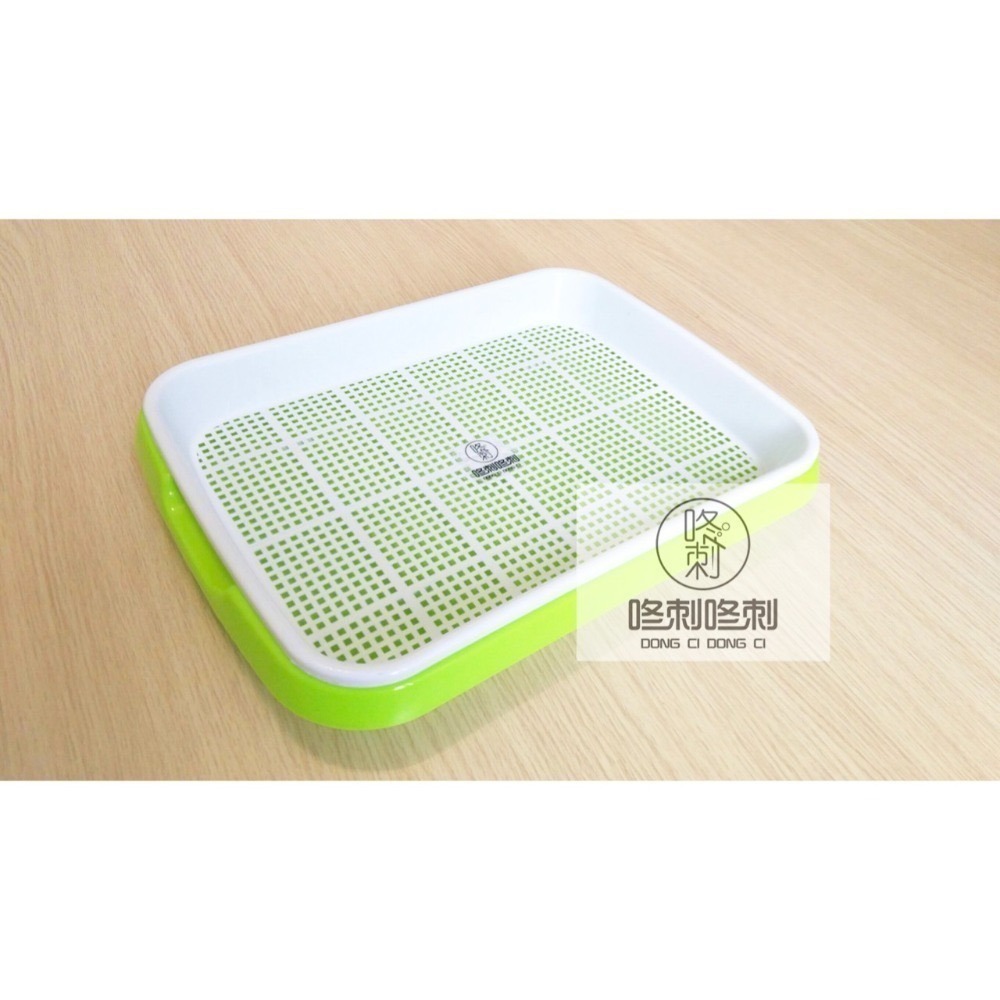 咚刺咚刺 雙層便盆 適用松木砂 刺蝟專用 天竺鼠 兔兔也適用哦-細節圖3