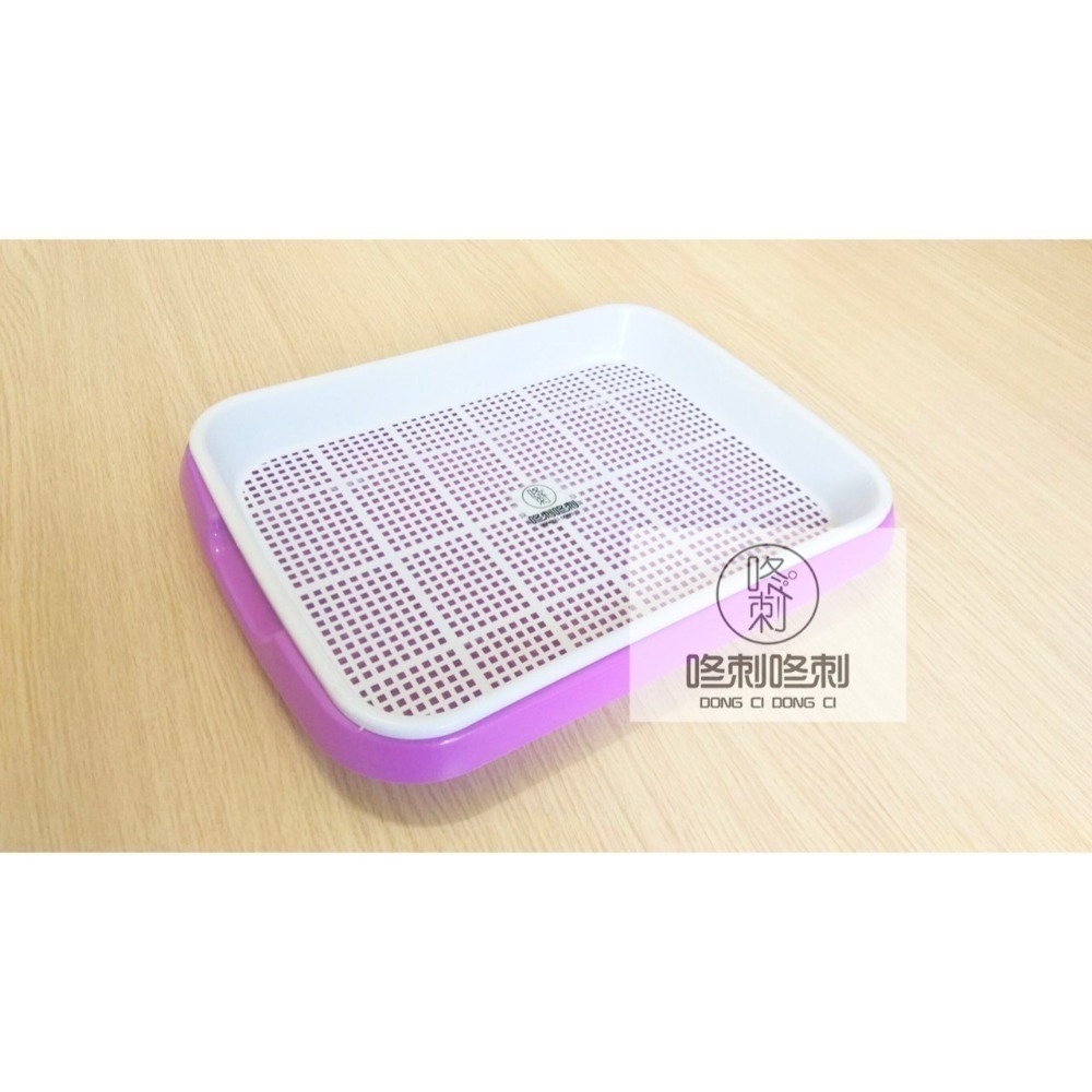 咚刺咚刺 雙層便盆 適用松木砂 刺蝟專用 天竺鼠 兔兔也適用哦-細節圖5