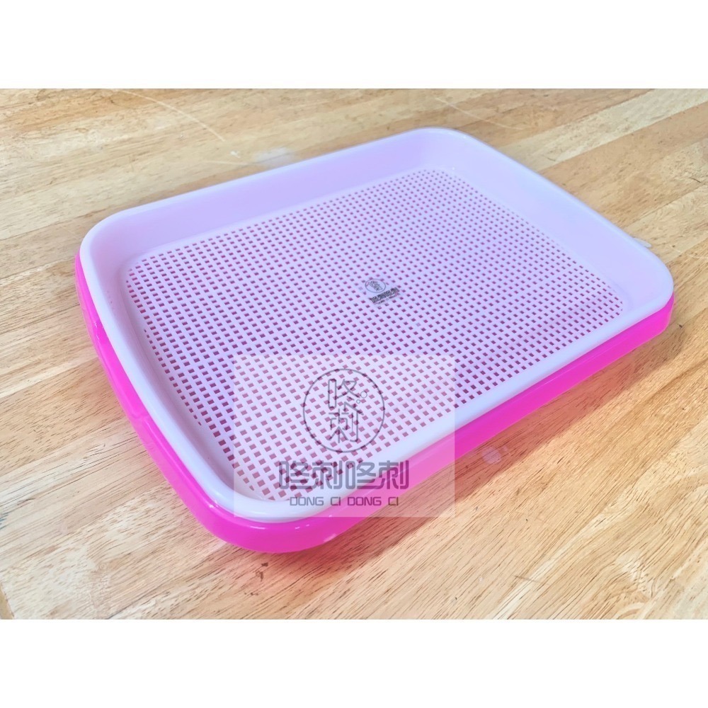 咚刺咚刺 雙層便盆 適用松木砂 刺蝟專用 天竺鼠 兔兔也適用哦-細節圖6