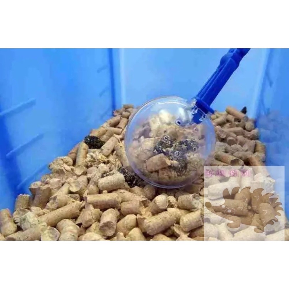 咚刺咚刺 刺蝟專用便夾 清理不沾手喔-細節圖4