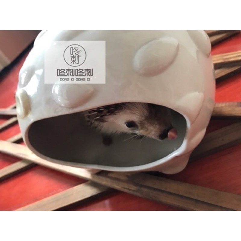 咚刺咚刺 刺蝟造型陶瓷窩 獨家首發開賣 寵物小屋 用品 陶瓷窩 涼窩-細節圖3