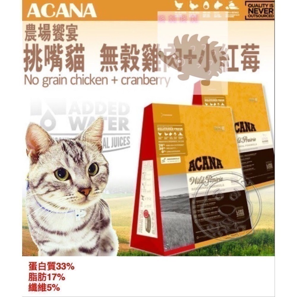 咚刺咚刺 刺蝟飼料 貓飼料 貓糧 皇家 歐睿健 紐崔斯 原野 烘焙客 莫比 zenith-細節圖4