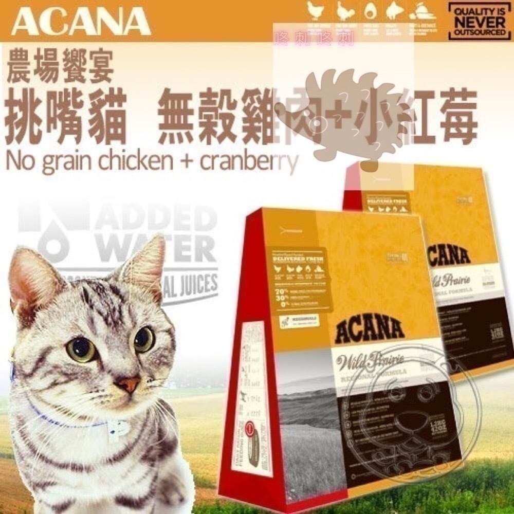 咚刺咚刺 刺蝟飼料 貓飼料 貓糧 皇家 歐睿健 紐崔斯 原野 烘焙客 莫比 zenith-細節圖5