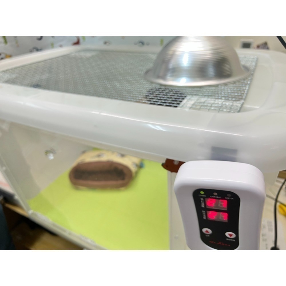 咚刺咚刺 刺蝟 蜜袋鼯 陶瓷保暖燈 無光保暖燈 發熱不發光 鼠寶 陸龜 澤龜 爬蟲 兩棲 貓咪 都適用喔 加溫器-細節圖3