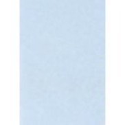 咚刺咚刺 可黏貼式環保尿布墊 可水洗重複使用 寵物尿布墊 刺蝟 天竺鼠 尿布 適用-規格圖8