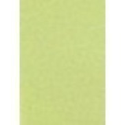 咚刺咚刺 可黏貼式環保尿布墊 可水洗重複使用 寵物尿布墊 刺蝟 天竺鼠 尿布 適用-規格圖8