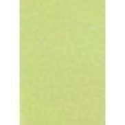 咚刺咚刺 可黏貼式環保尿布墊 可水洗重複使用 寵物尿布墊 刺蝟 天竺鼠 尿布 適用-規格圖8