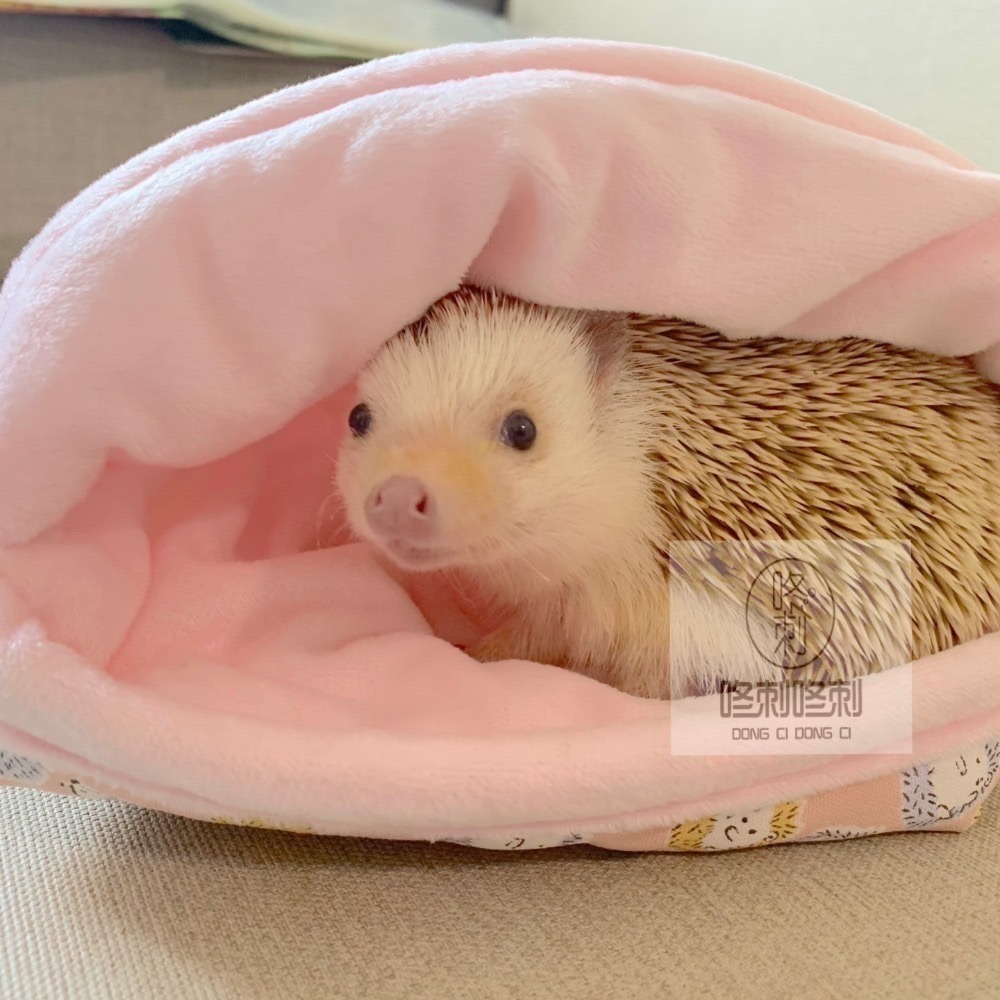 咚刺咚刺 刺蝟秋冬新款加厚鋪棉睡袋 刺蝟窩 刺蝟睡袋 刺蝟小屋 保暖睡袋 蜜袋鼯-細節圖7