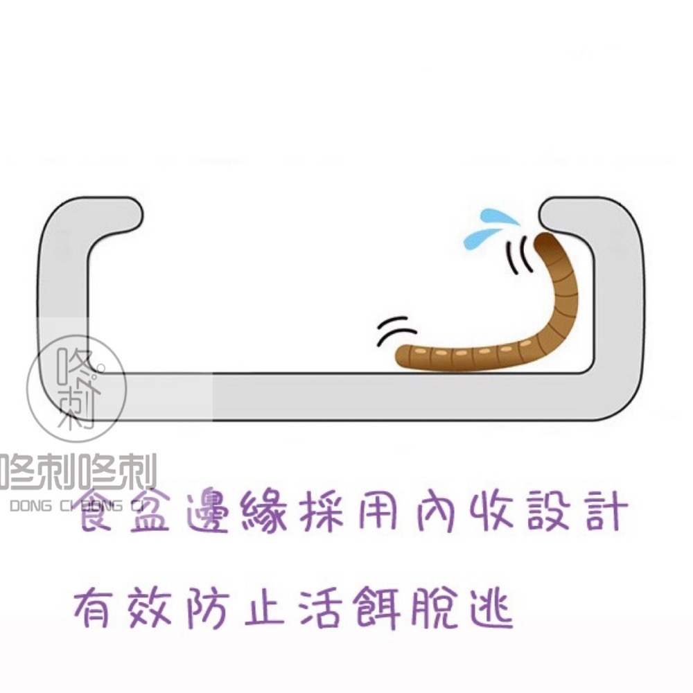 咚刺咚刺 活餌專用防逃食盆 防脫逃食盆 刺蝟 蜜袋鼯 鼠鼠 蜥蜴 守宮 蜘蛛-細節圖4