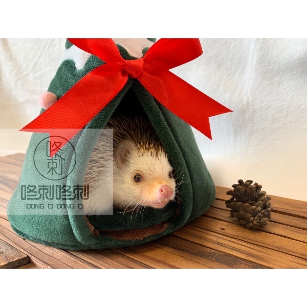 咚刺咚刺 聖誕專區 聖誕窩 聖誕帳篷 聖誕大餐-細節圖3