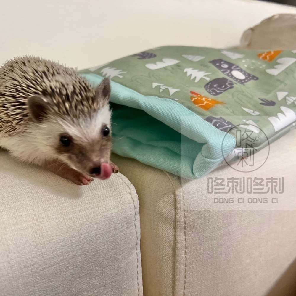 咚刺咚刺 刺蝟🦔立體方形口袋窩 刺蝟睡袋 刺蝟窩 睡袋 天竺鼠 方形口袋窩 方形窩 口袋窩-細節圖2