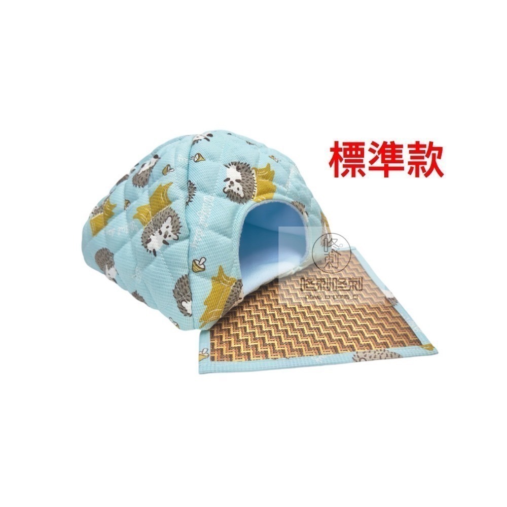 現貨 標準款 湖水藍+涼蓆