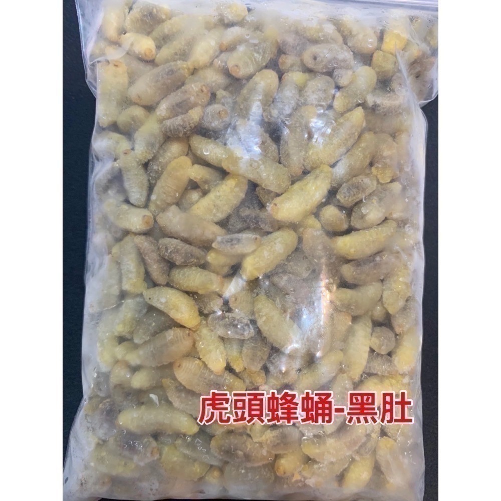 咚刺咚刺🦔の好吃好吃食堂 刺蝟鮮食 蜜袋鼯鮮食 冷凍鮮食 虎頭蜂蛹 蜂蟲 雄蜂蛹 黑肚 營養 增肥 增胖-細節圖9