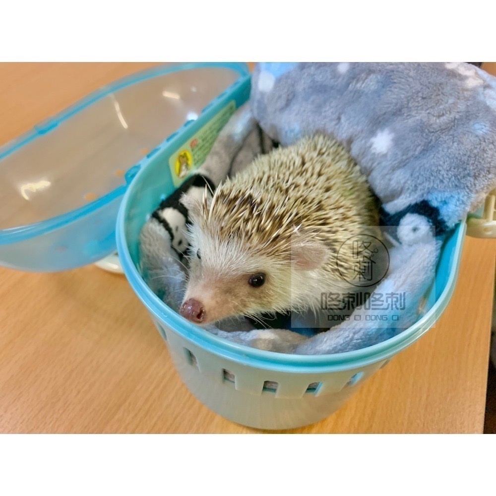 咚刺咚刺 刺蝟 蜜袋鼯 鼠鼠 日本IRIS 外出提籠（附水瓶）外出包 外出籠-細節圖7