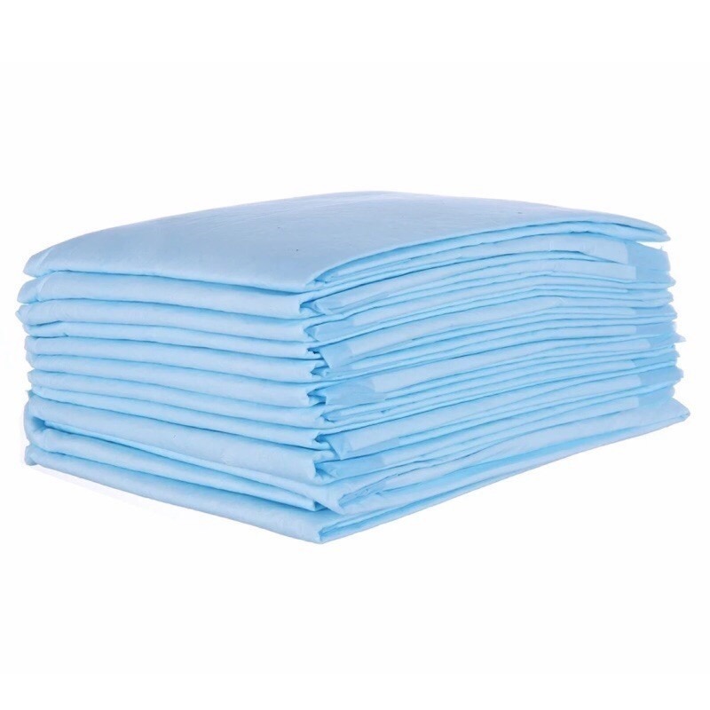 咚刺咚刺 寵物 拋棄式薄款尿布墊 M-45*60  S-45*30刺蝟 蜜袋鼯適用 尿布-細節圖2