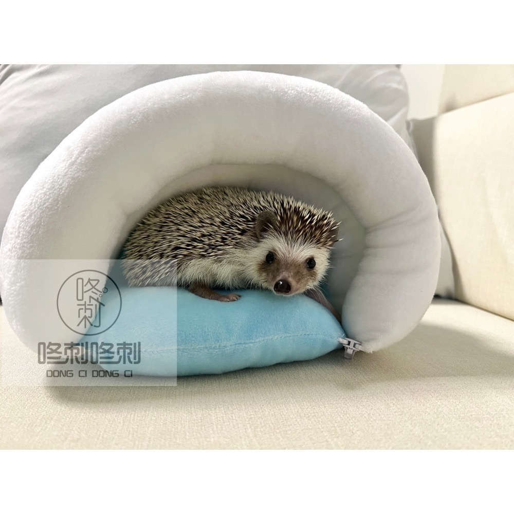 咚刺咚刺 毛毛蟲窩 刺蝟 睡窩 冬窩 睡袋-細節圖6
