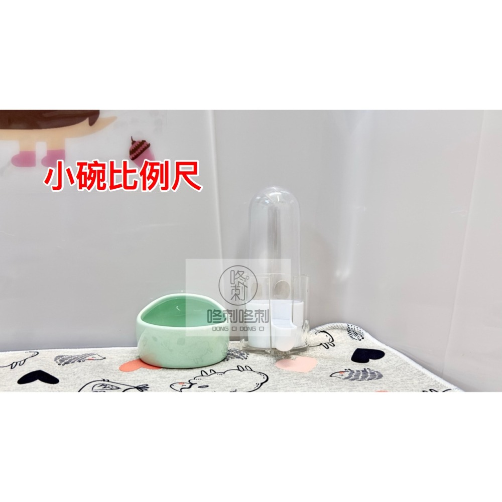 咚刺咚刺 磁吸式水瓶架 防翻防頂水瓶架 刺蝟 倉鼠 水瓶固定架-細節圖5