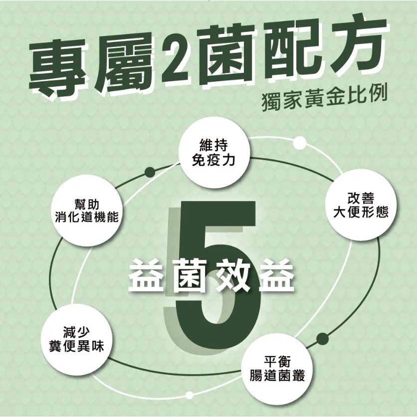咚刺咚刺 刺蝟益生菌+益生元-腸胃2菌配方(刺蝟保健/營養補充)-細節圖5