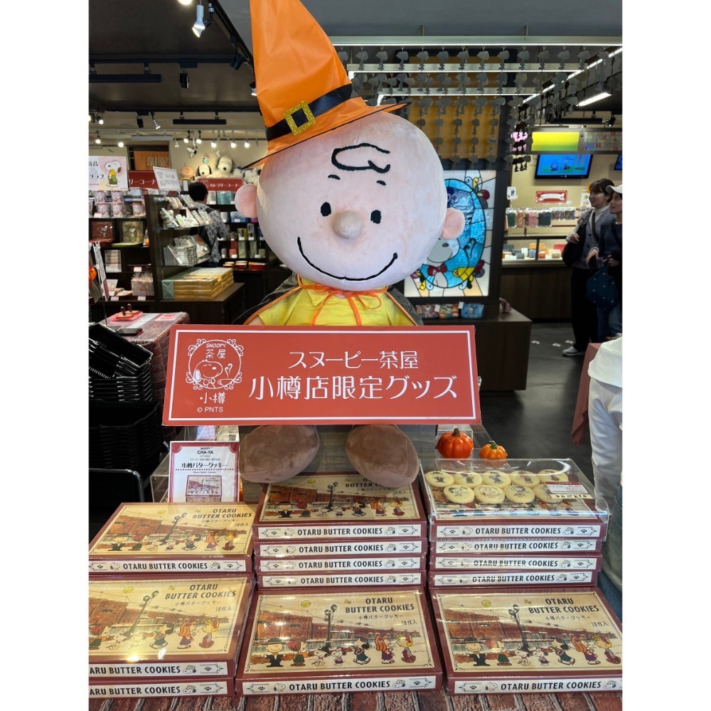 全新品🐶日本帶回🇯🇵SNOOPY史努比 刺繡化妝包、旅行小提袋、萬用包-細節圖5