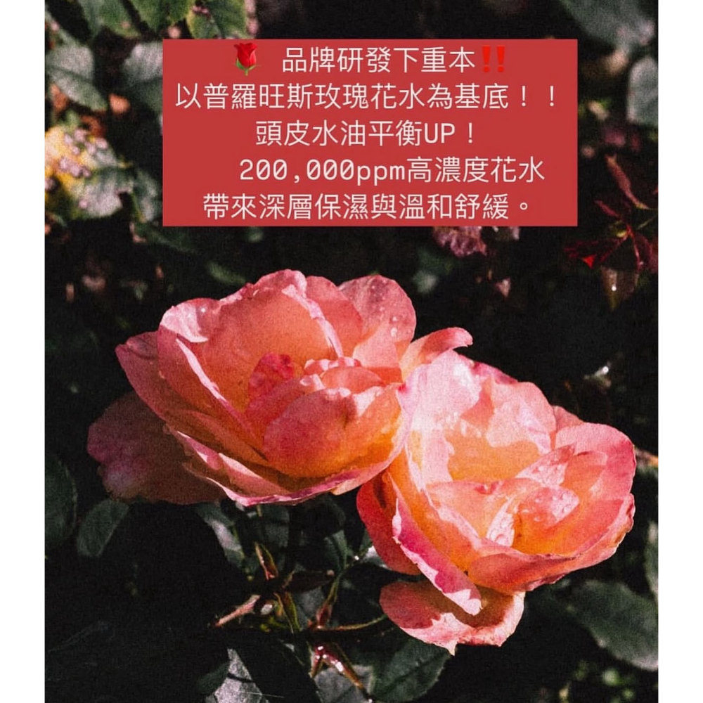 全新品🌹韓國🇰🇷Anoetic玫瑰深層修護洗髮精找回頭髮的光澤&健康、容量：420ml🍬使用期限：2028/03-細節圖4