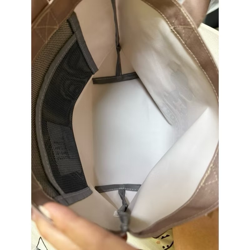 全新品👝日本帶回🇯🇵 Snoopy&Woodstock 史努比 迷你托特包 小提袋、手拿包、購物袋-細節圖3
