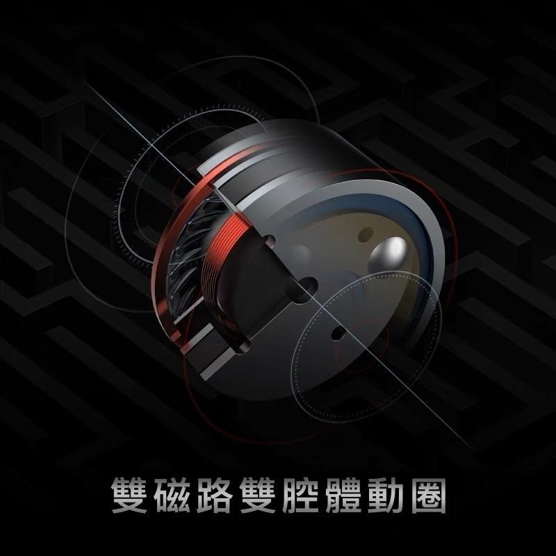 現貨免運【興戈】SIMGOT EW200｜EW200DSP｜雙磁雙腔硅振膜動圈可換線耳機｜VGP金賞｜Type-C耳機-細節圖2