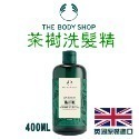 英國 THE BODY SHOP 生薑 茶樹 洗髮精  薑根鏗-規格圖3