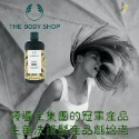 英國 THE BODY SHOP 生薑 茶樹 洗髮精  薑根鏗-規格圖3