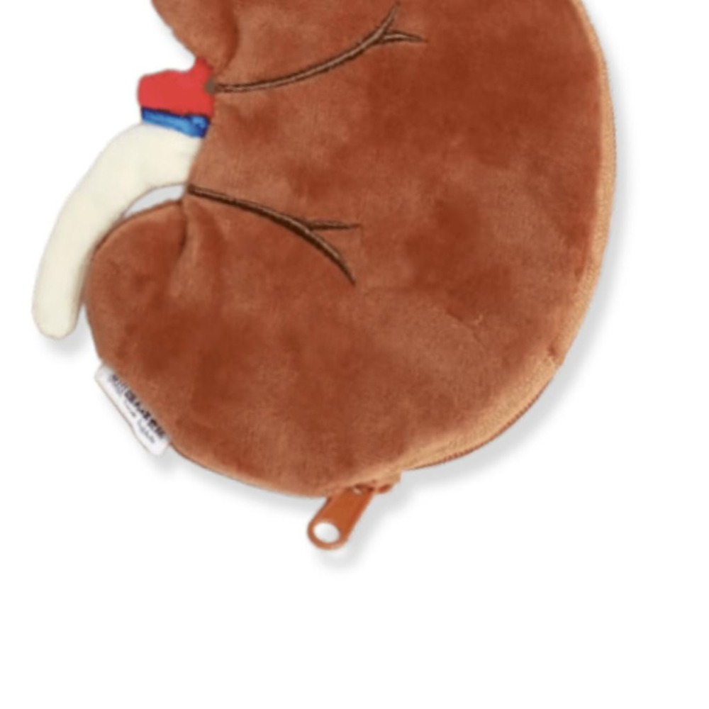 腎臟零錢包 腦力研究所 大腦 錢包 毛絨包 零錢包 器官 腎臟 / 醫師 護士 護理師 醫生 醫科 禮物-細節圖2