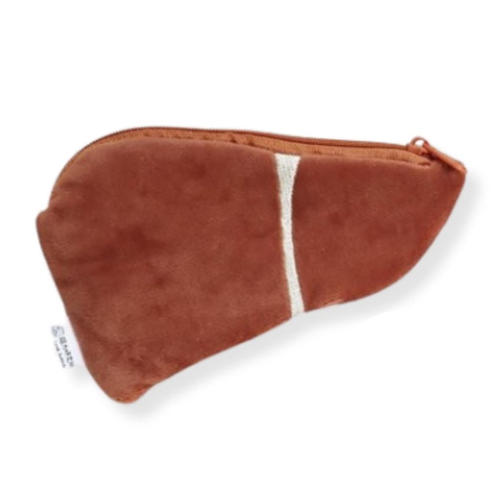 肝臟零錢包 腦力研究所 大腦 錢包 零錢包 毛絨包  器官 肝/ 醫師 護士 護理師 醫生 醫科 禮物-細節圖2