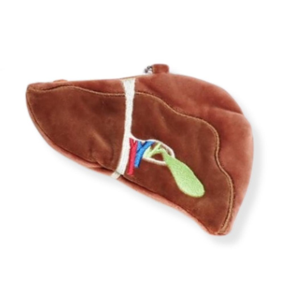 「缺什麼補什麼?!」 大腦 / 肝臟 / 心臟 / 腎臟 零錢包 毛絨包 腦力研究所 大腦 錢包  / 護士 醫生-細節圖3