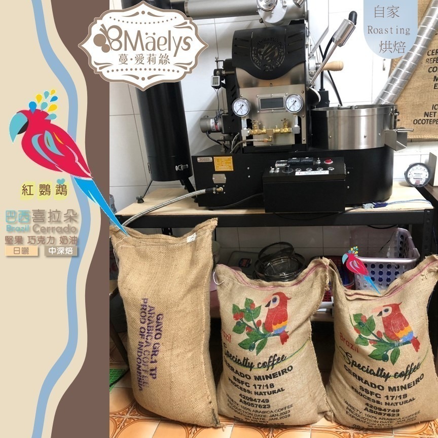 《紅鸚鵡》巴西 喜拉朵 Brazil Cerrado阿拉比卡 日曬 中深焙 單品咖啡豆 227克(半磅)-細節圖6