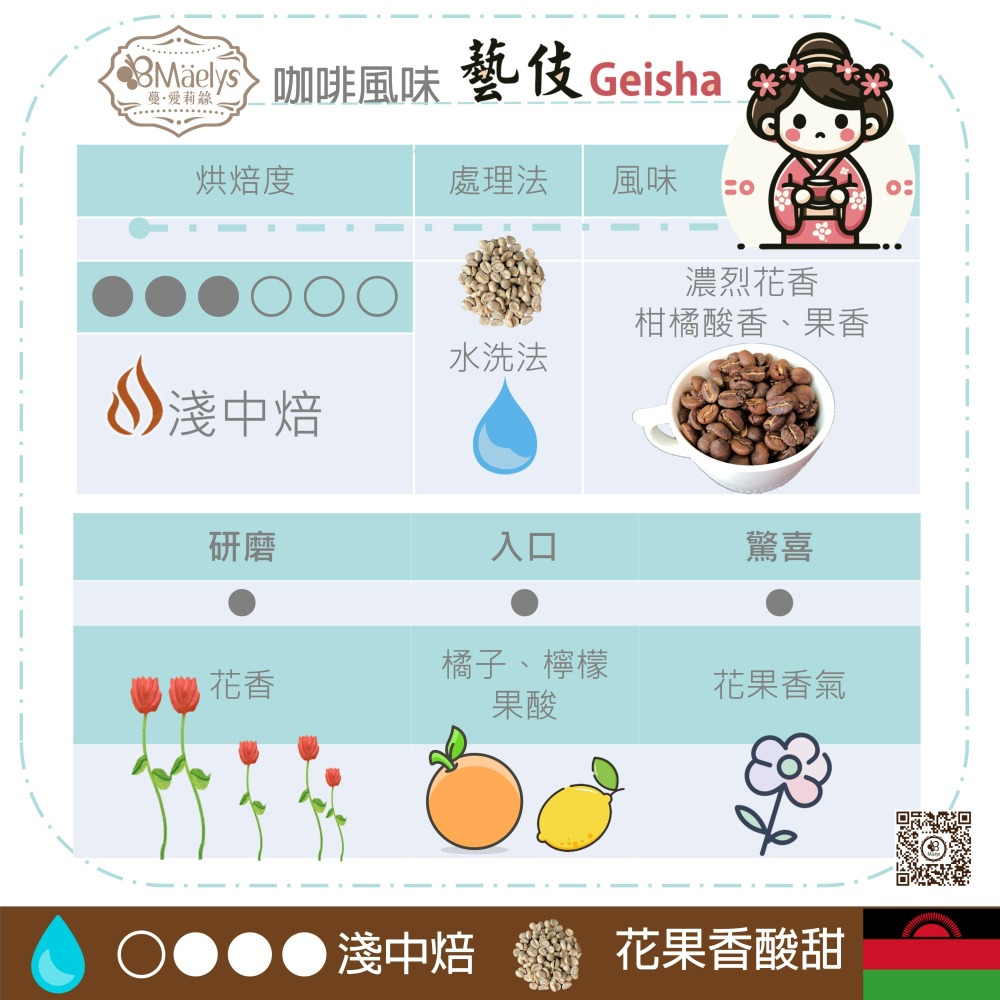 Maelys《藝伎》馬拉威 藝伎Geisha 密蘇庫 水洗 淺中焙 單品咖啡豆-細節圖3