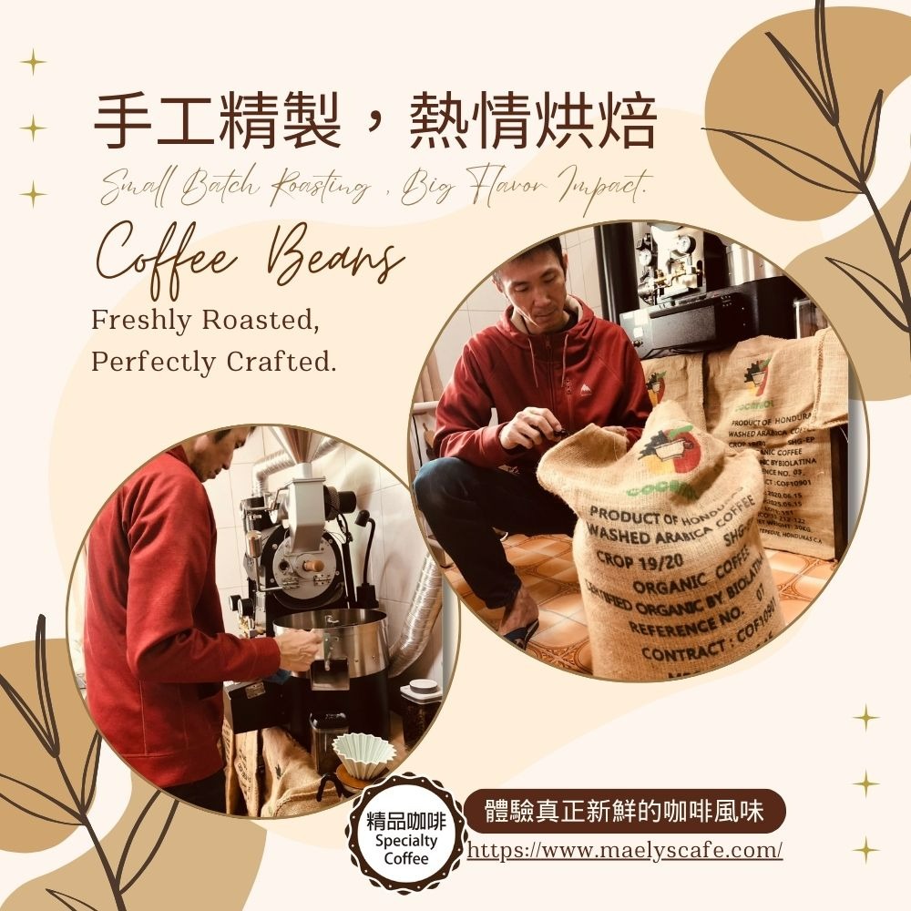 【Maelys】咖啡豆/莫札特-卡內特音樂家系列/哥斯大黎加/葡萄乾蜜/淺焙-細節圖10