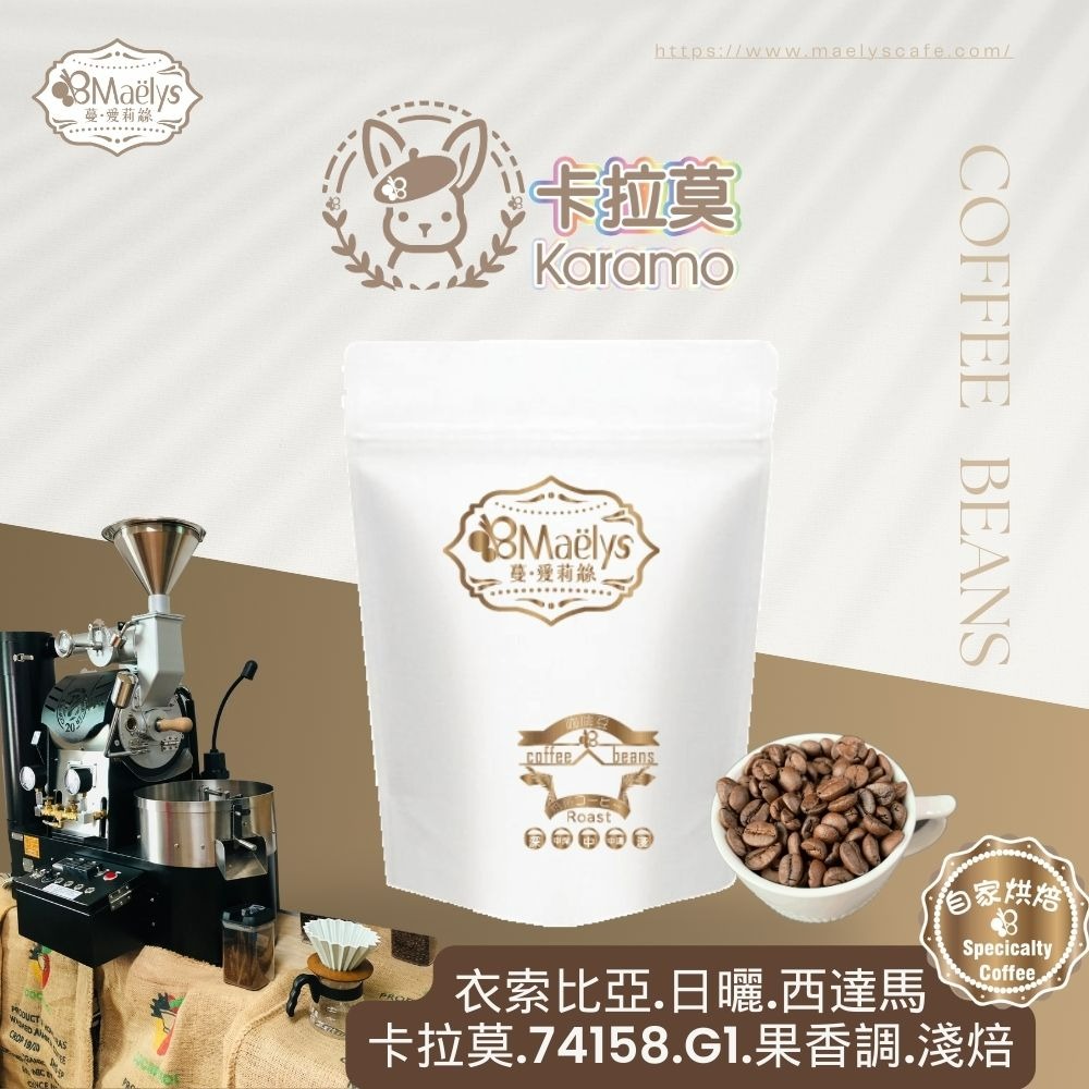 【Maelys】咖啡豆/布蘭卡-黑蜜-奇里波山谷里瓦斯人處理廠芒果莊園/哥斯大黎加/黑蜜/淺焙-細節圖4