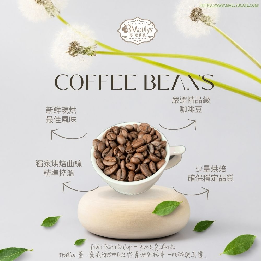 【Maelys】咖啡豆/布蘭卡-黑蜜-奇里波山谷里瓦斯人處理廠芒果莊園/哥斯大黎加/黑蜜/淺焙-細節圖8