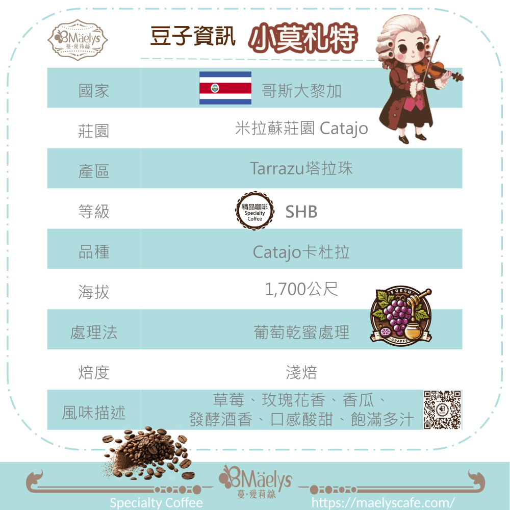 Maelys 咖啡豆/米拉蘇/小莫札特/哥斯大黎加/米拉蘇莊園/葡萄乾蜜處理/酒桶靜置 /淺焙-細節圖2