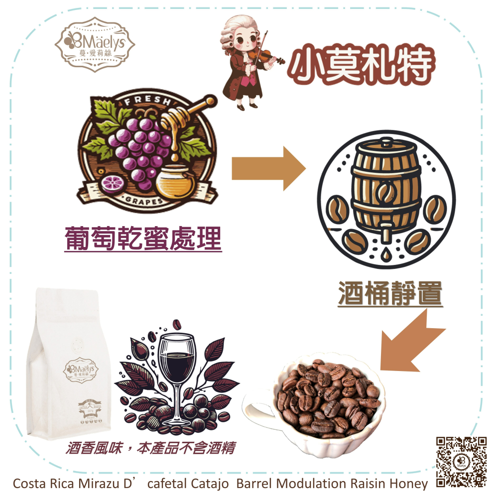 Maelys 咖啡豆/米拉蘇/小莫札特/哥斯大黎加/米拉蘇莊園/葡萄乾蜜處理/酒桶靜置 /淺焙-細節圖4