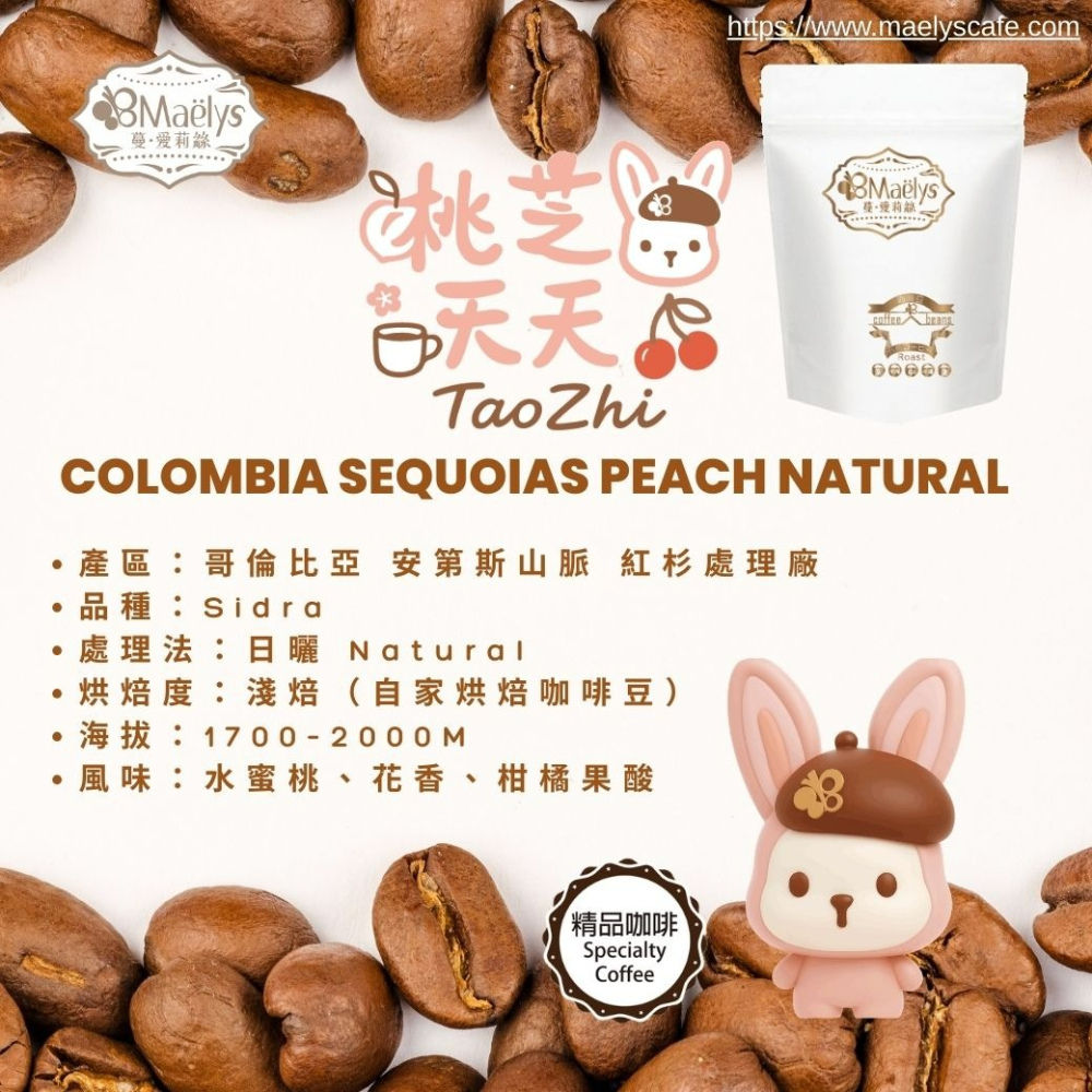 【Maelys】咖啡豆｜桃芝夭夭 TaoZhi｜哥倫比亞 紅杉處理廠 日曬 淺焙 1/4磅-細節圖5