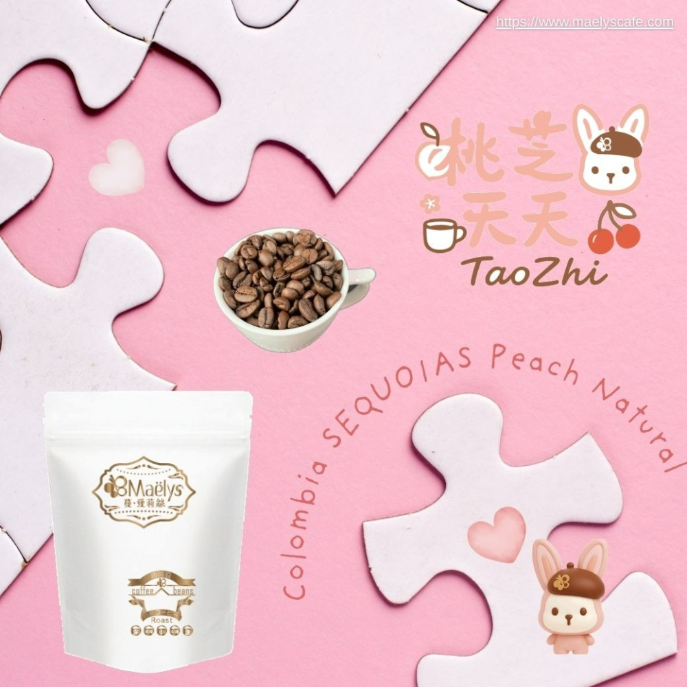 【Maelys】咖啡豆｜桃芝夭夭 TaoZhi｜哥倫比亞 紅杉處理廠 日曬 淺焙 1/4磅-細節圖7