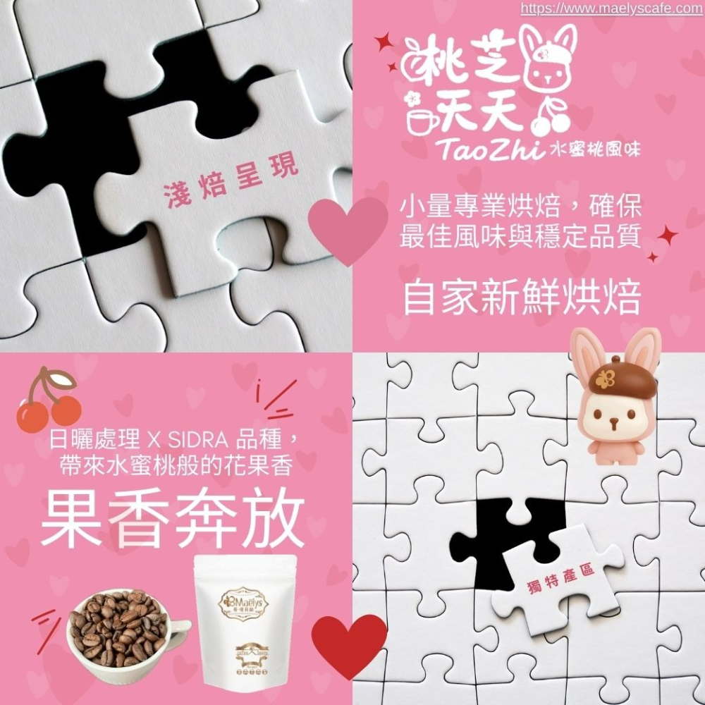【Maelys】咖啡豆｜桃芝夭夭 TaoZhi｜哥倫比亞 紅杉處理廠 日曬 淺焙 1/4磅-細節圖8
