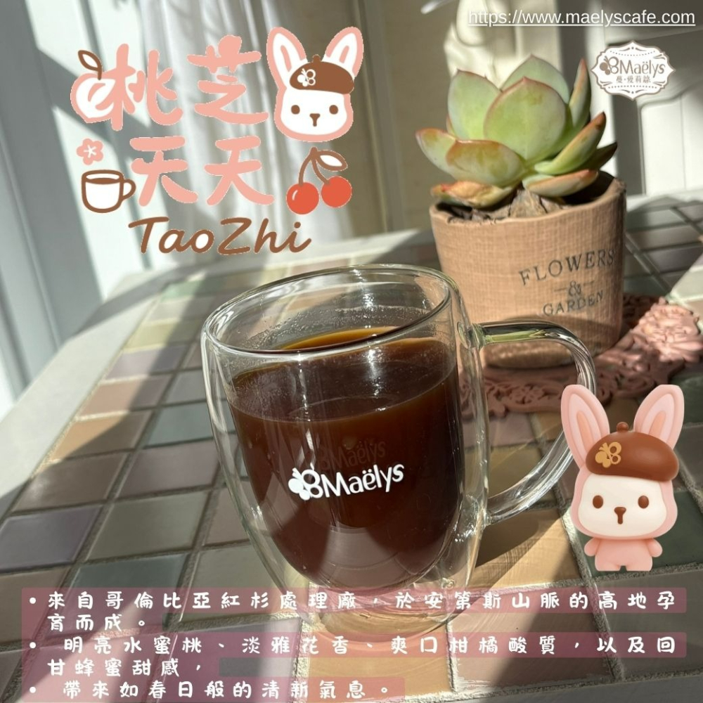 【Maelys】咖啡豆｜桃芝夭夭 TaoZhi｜哥倫比亞 紅杉處理廠 日曬 淺焙 1/4磅-細節圖10