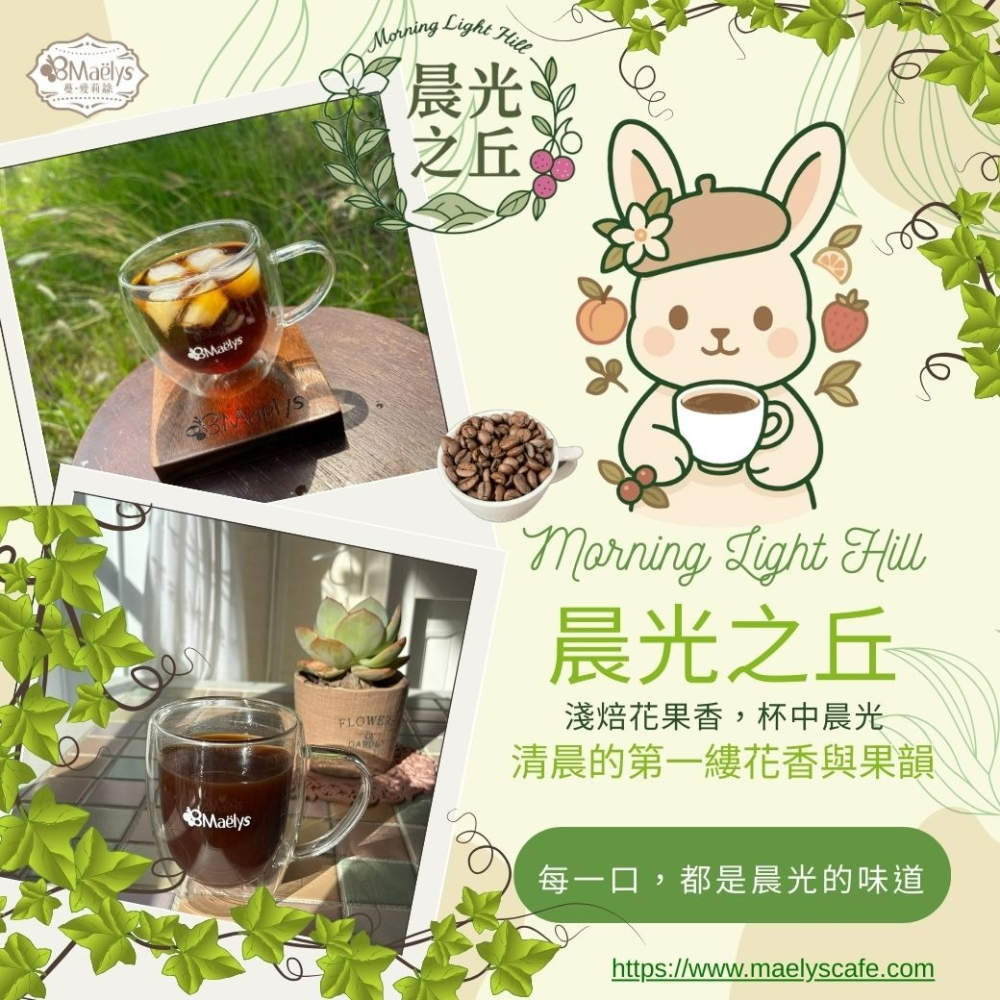 Maelys｜咖啡豆｜晨光之丘 Morning Light Hill｜衣索比亞 班沙龐貝 ｜水洗-細節圖3
