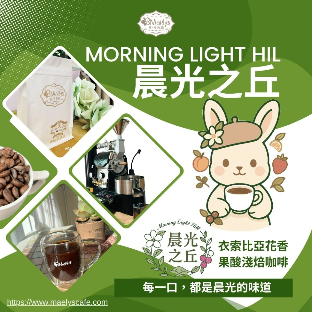 Maelys｜咖啡豆｜晨光之丘 Morning Light Hill｜衣索比亞 班沙龐貝 ｜水洗-細節圖4