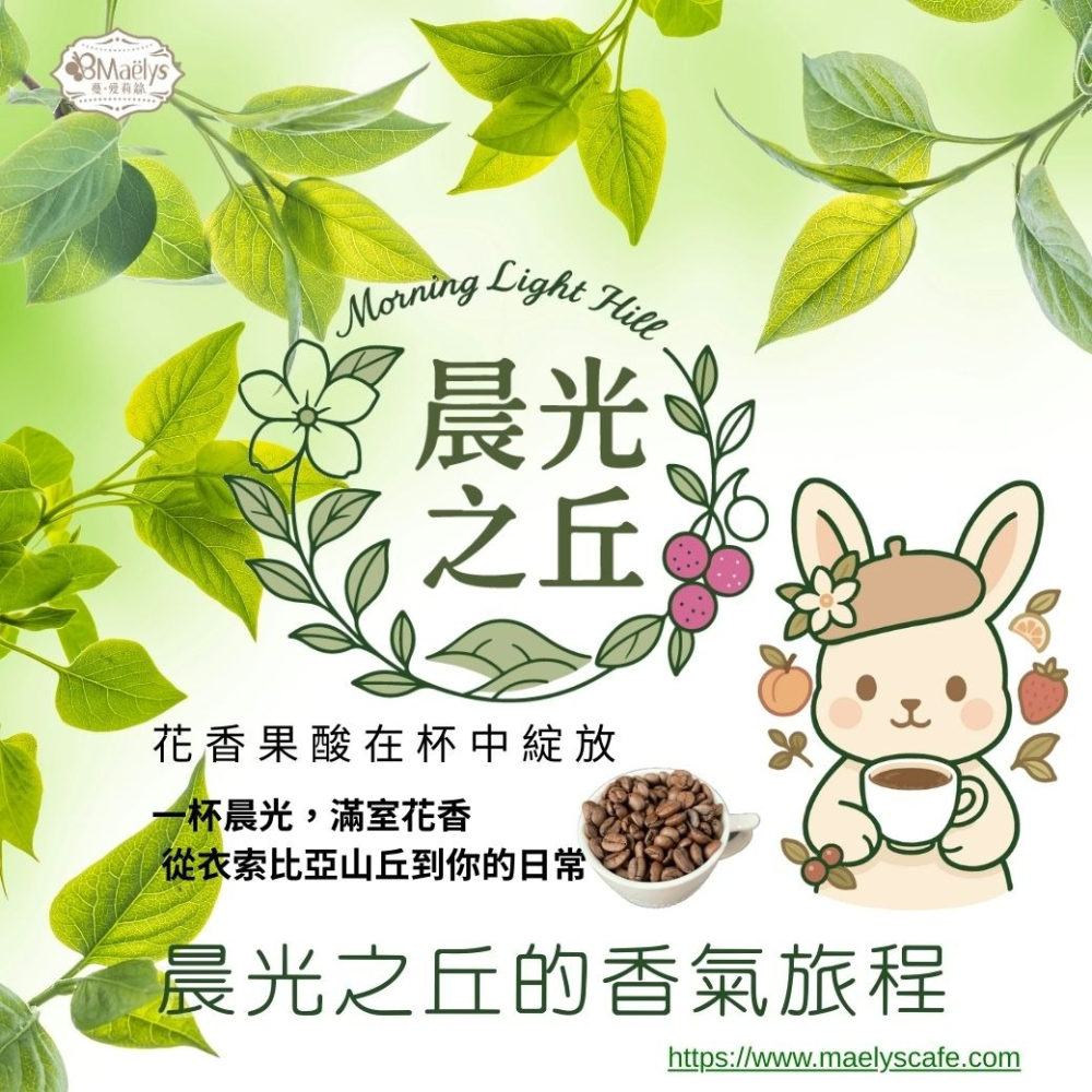 Maelys｜咖啡豆｜晨光之丘 Morning Light Hill｜衣索比亞 班沙龐貝 ｜水洗-細節圖5