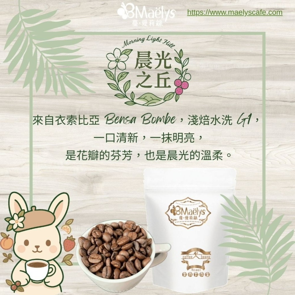 Maelys｜咖啡豆｜晨光之丘 Morning Light Hill｜衣索比亞 班沙龐貝 ｜水洗-細節圖7