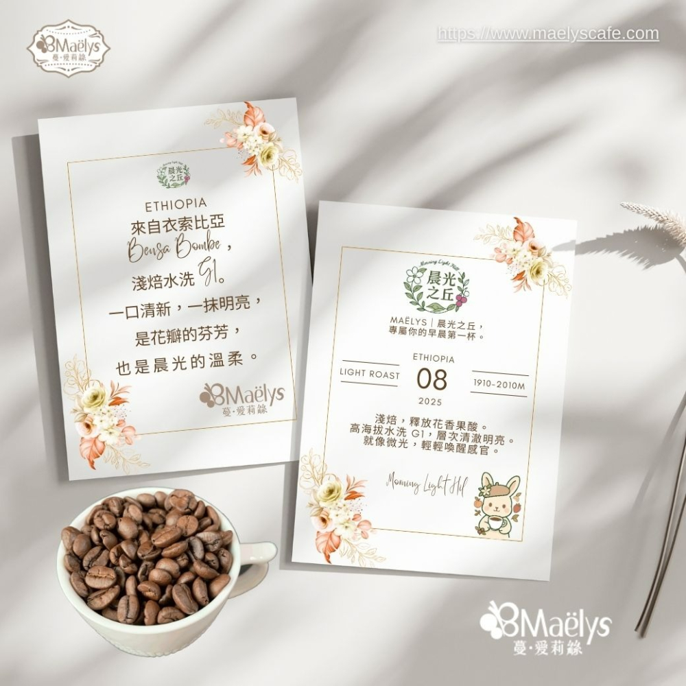 Maelys｜咖啡豆｜晨光之丘 Morning Light Hill｜衣索比亞 班沙龐貝 ｜水洗-細節圖8