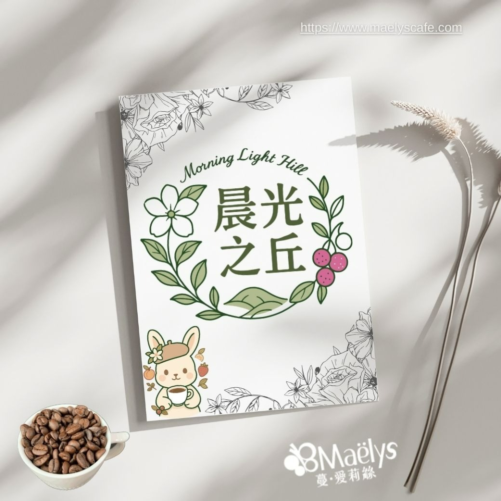 Maelys｜咖啡豆｜晨光之丘 Morning Light Hill｜衣索比亞 班沙龐貝 ｜水洗-細節圖9